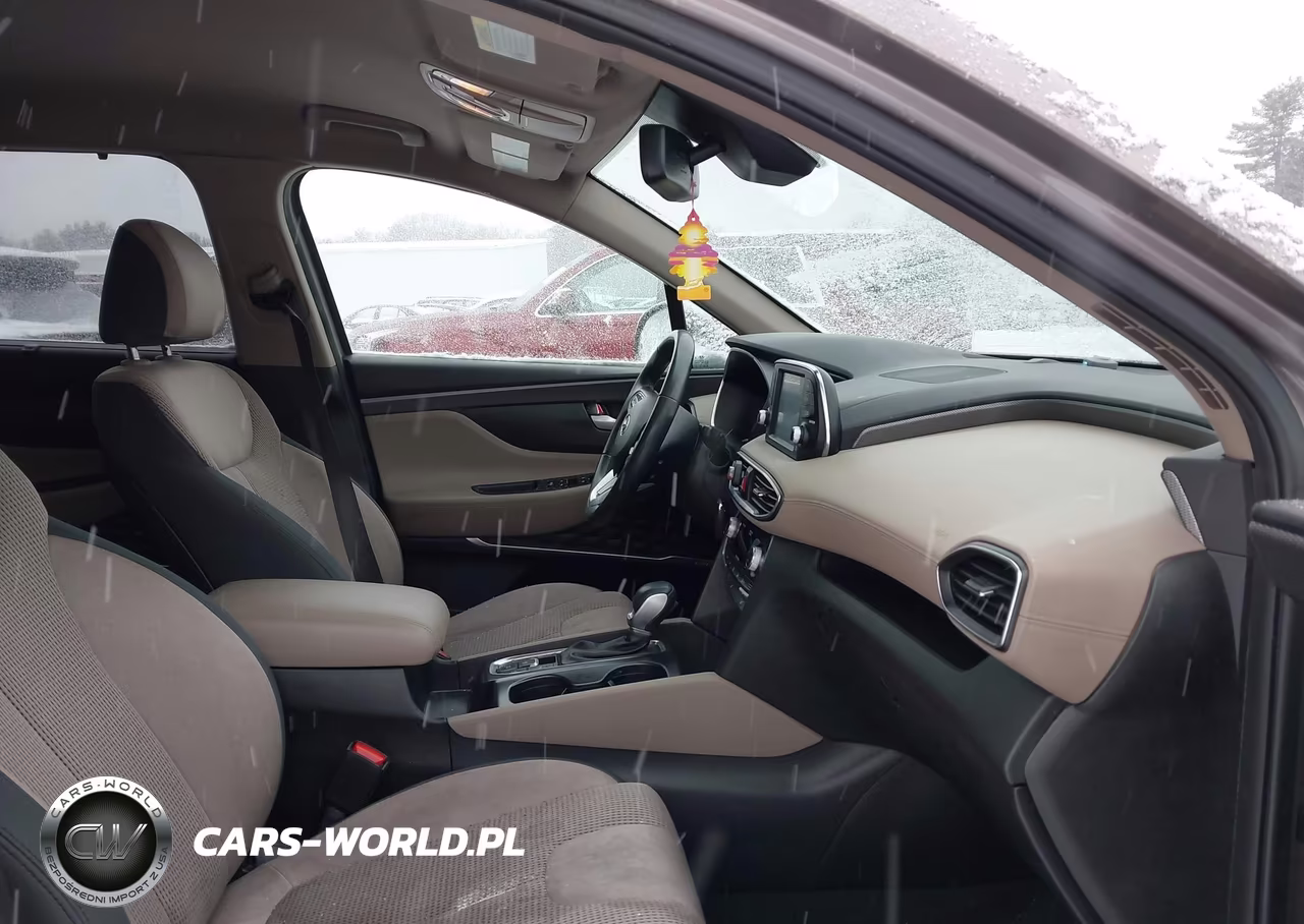 2019 Hyundai Santa Fe Sel Plus VIN:5NMS3CAD6KH036720 - 5