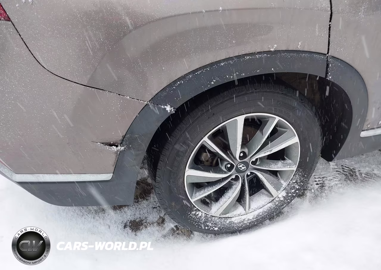 2019 Hyundai Santa Fe Sel Plus VIN:5NMS3CAD6KH036720 - 6