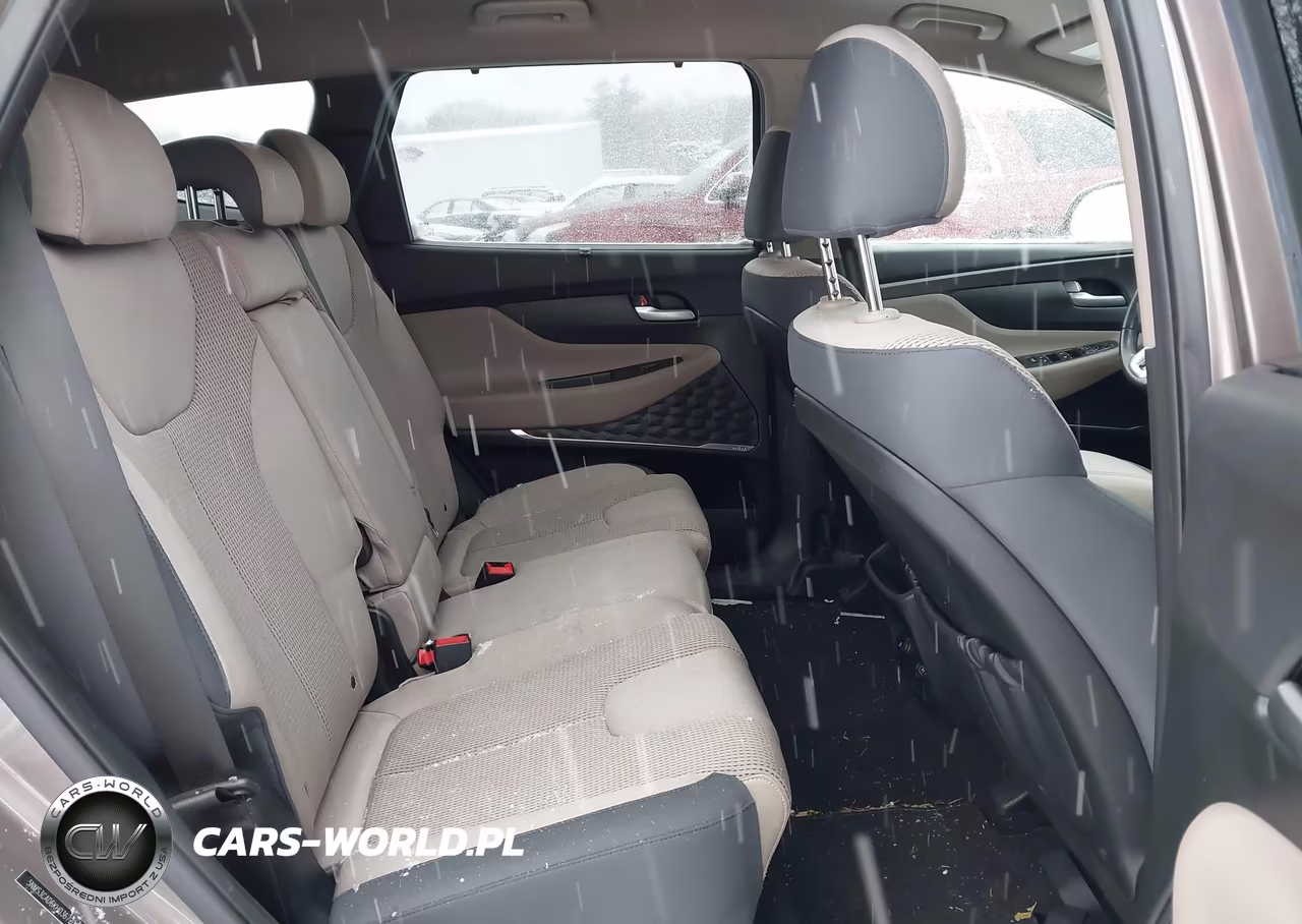 2019 Hyundai Santa Fe Sel Plus VIN:5NMS3CAD6KH036720 - 8