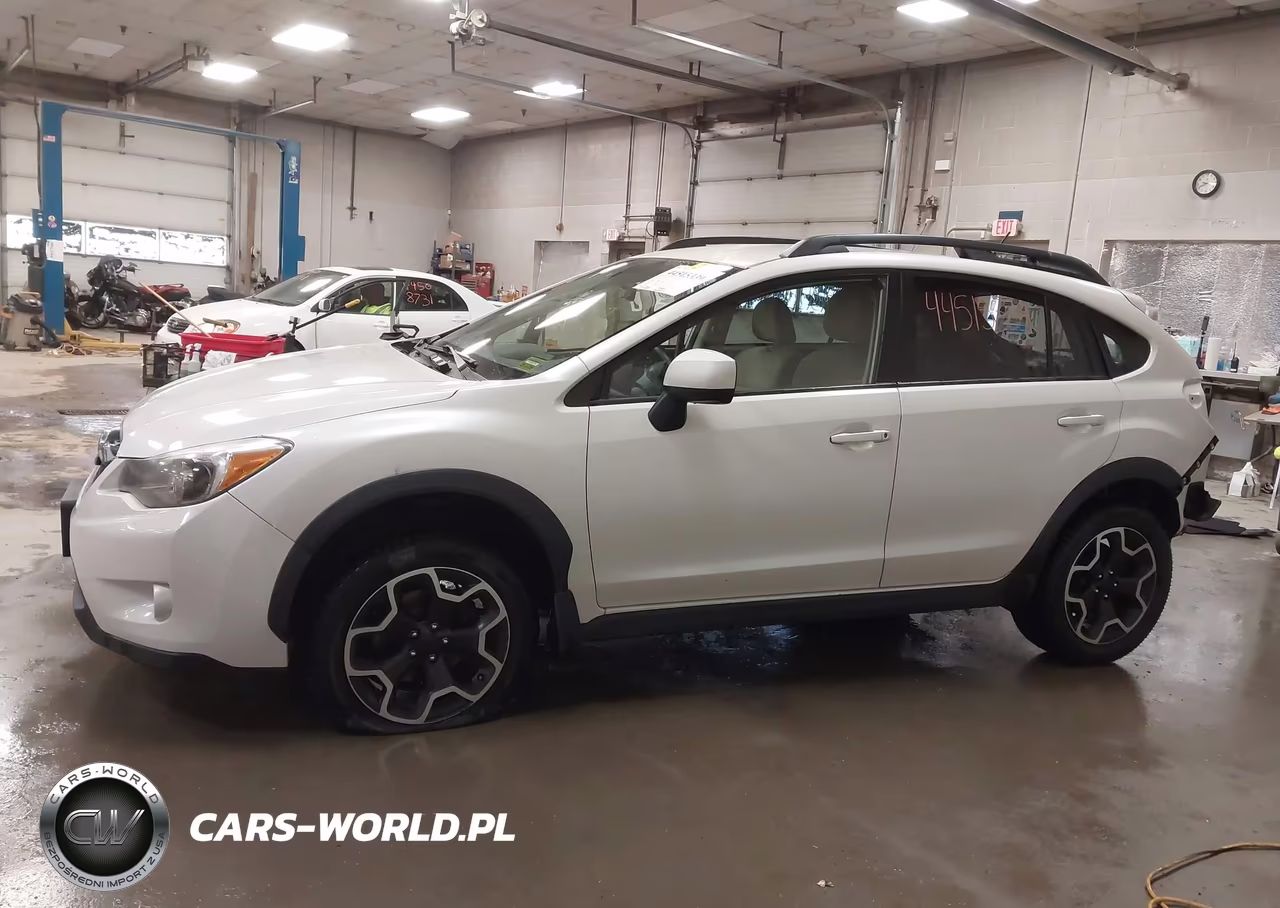 2013 Subaru Xv Crosstrek 2.0I Premium VIN:JF2GPACC2DG852516 - 15