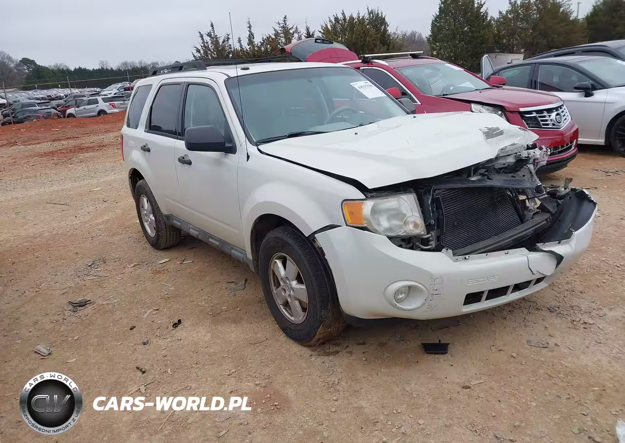 2010 Ford Escape Xlt