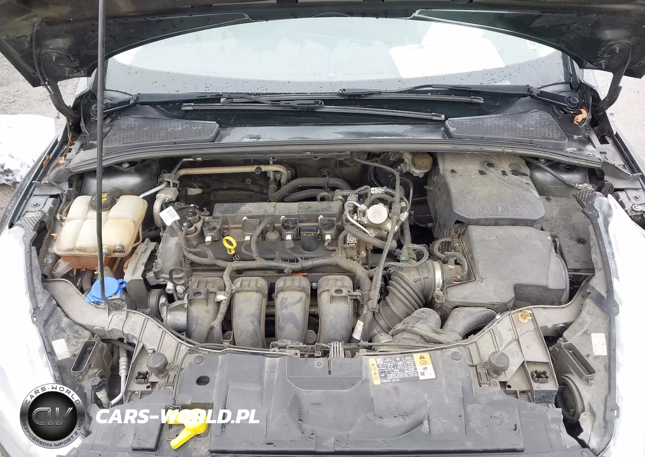 2016 Ford Focus Titanium VIN:1FADP3N2XGL372114 - 10