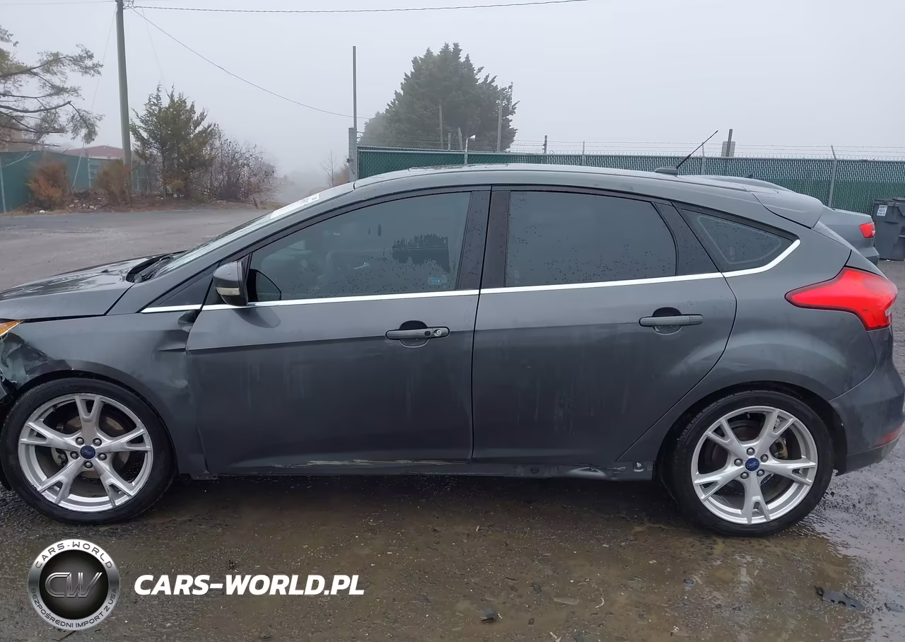 2016 Ford Focus Titanium VIN:1FADP3N2XGL372114 - 14
