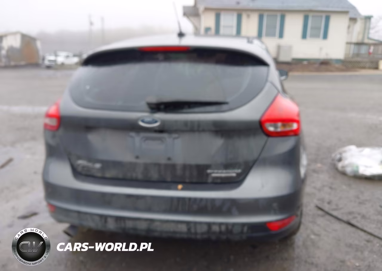 2016 Ford Focus Titanium VIN:1FADP3N2XGL372114 - 16