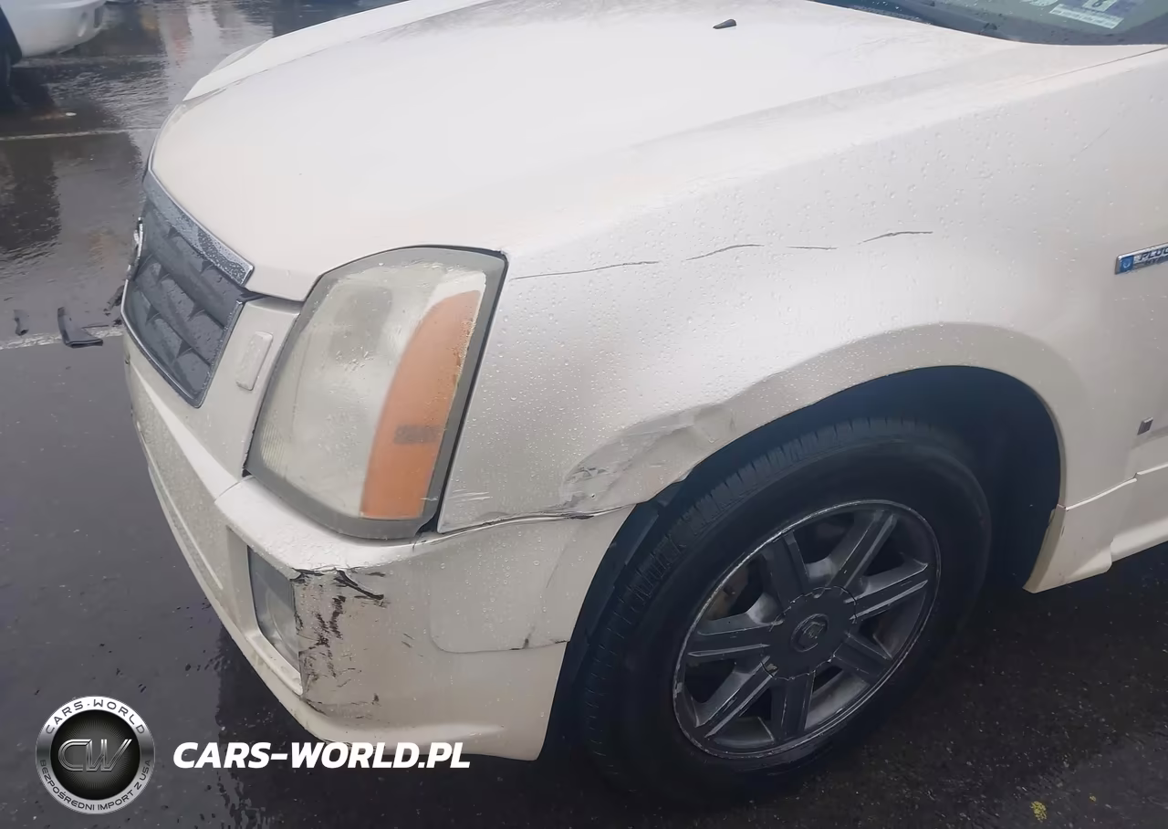 2006 Cadillac Srx V6 VIN:1GYEE637760173701 - 6
