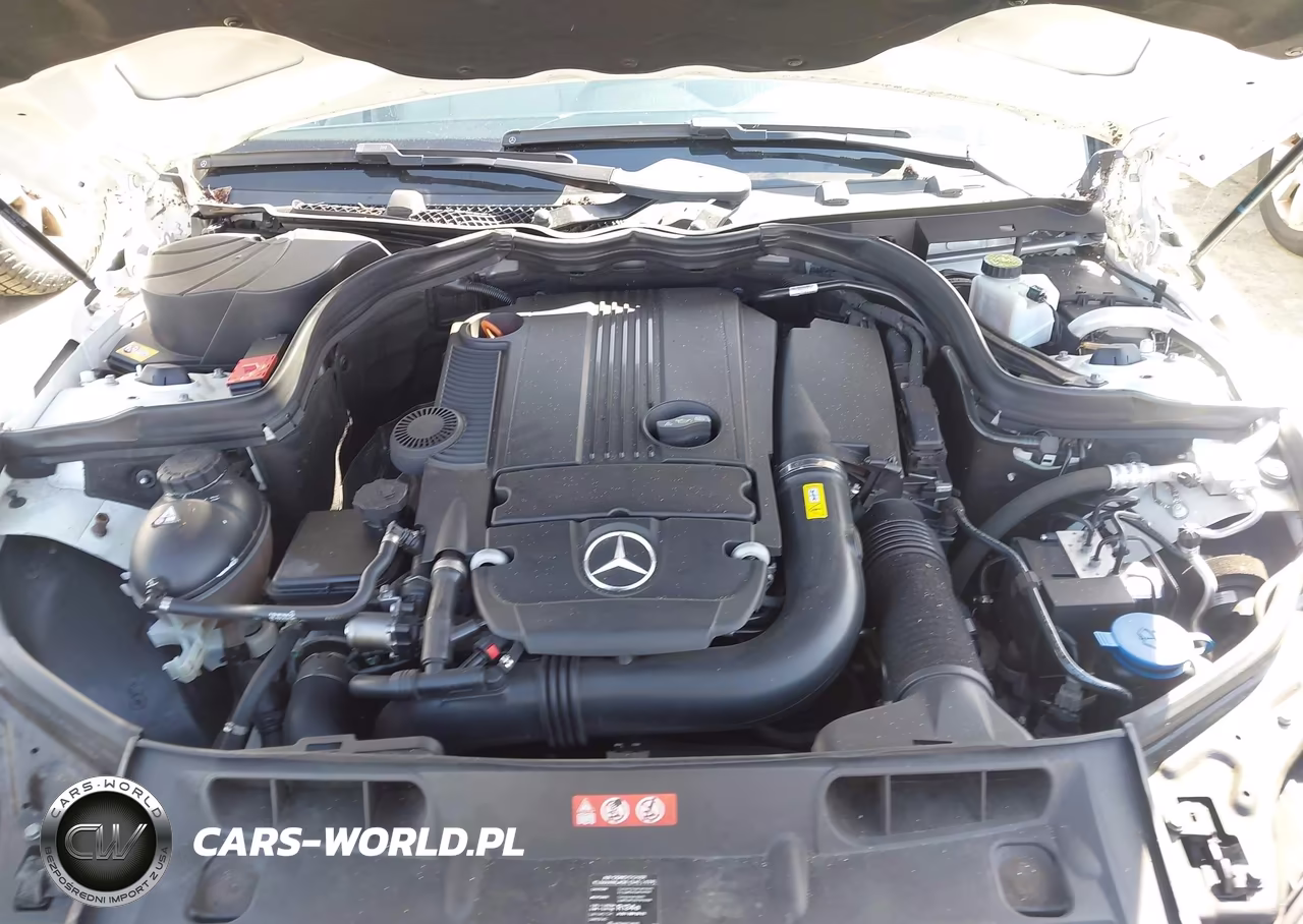 2014 Mercedes-Benz C 250 Luxury VIN:WDDGF4HB6EA965818 - 10
