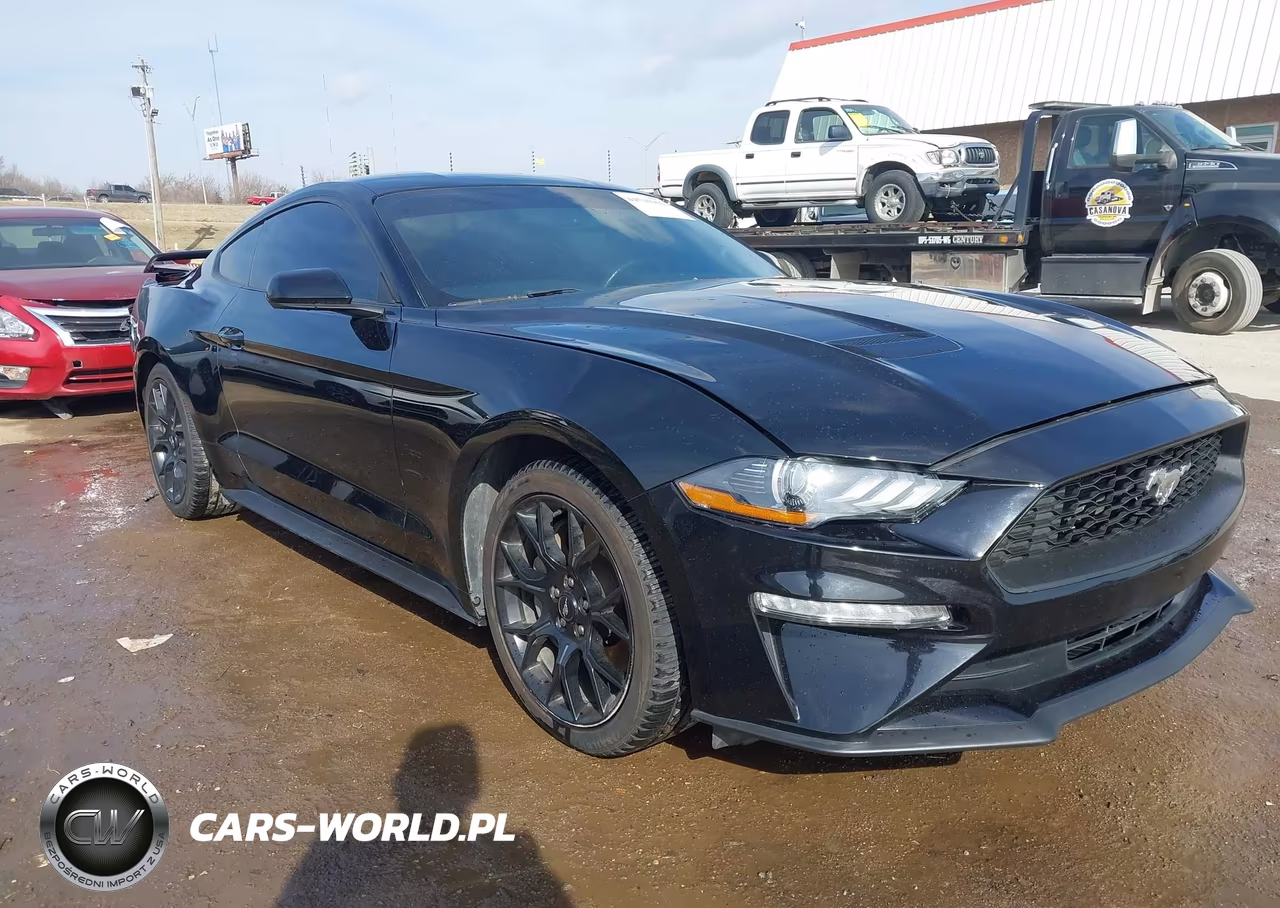 2019 Ford Mustang Ecoboost