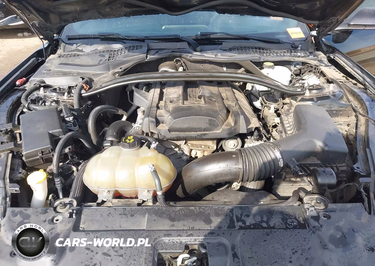 2019 Ford Mustang Ecoboost VIN:1FA6P8TH1K5102313 - 10