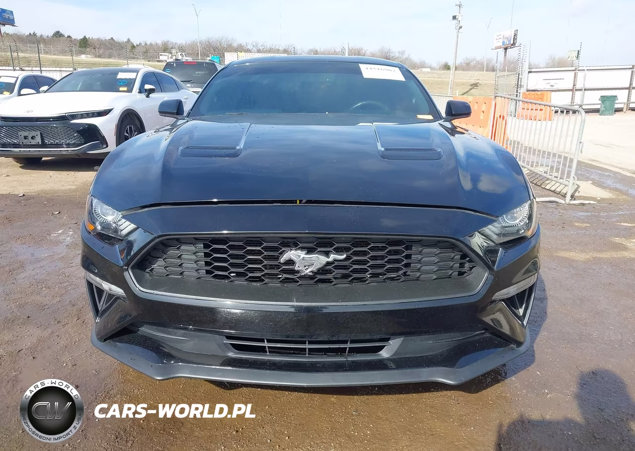 2019 Ford Mustang Ecoboost VIN:1FA6P8TH1K5102313 - 12
