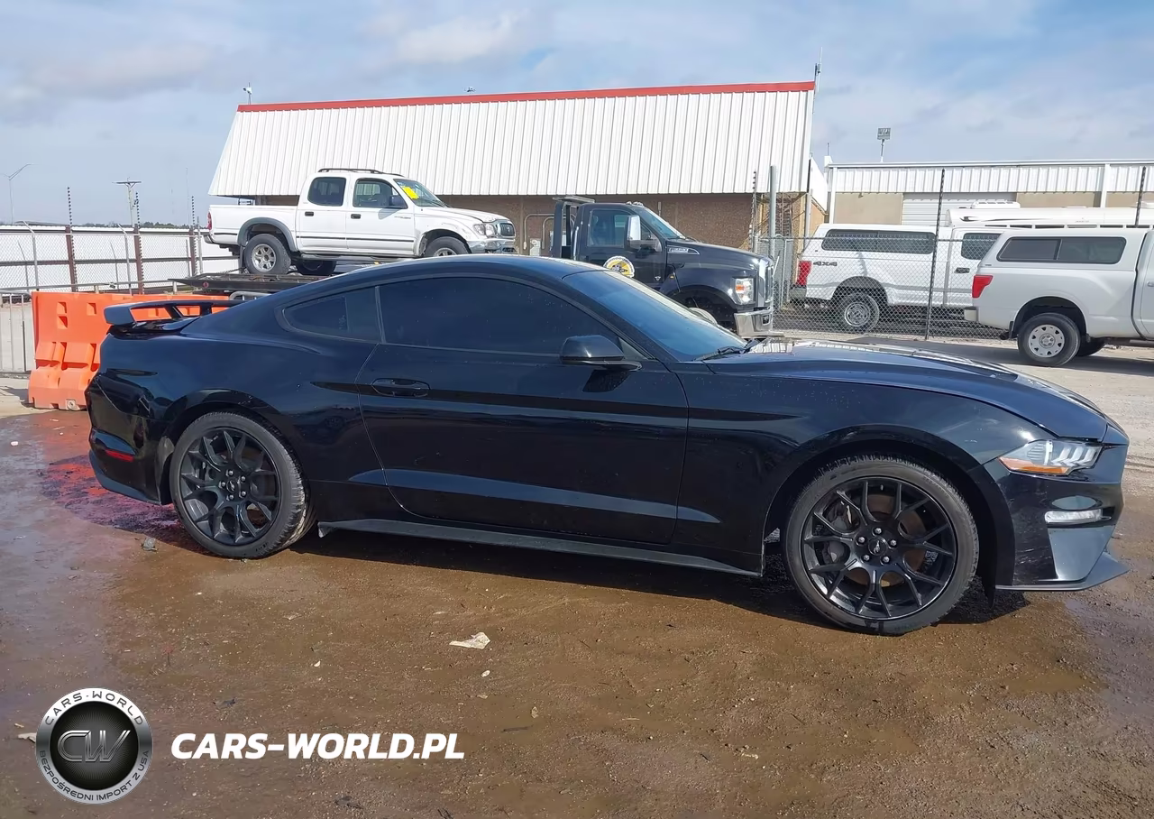2019 Ford Mustang Ecoboost VIN:1FA6P8TH1K5102313 - 13