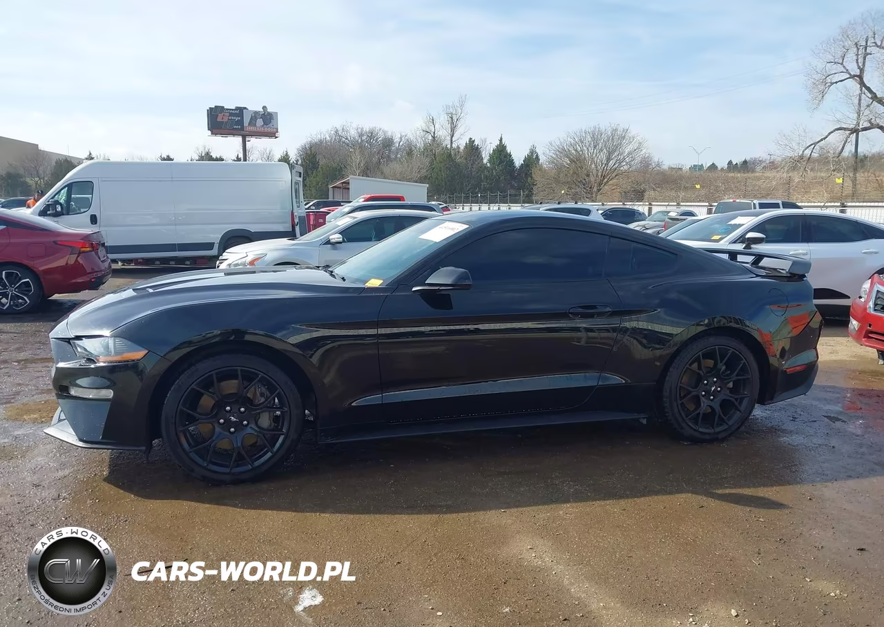 2019 Ford Mustang Ecoboost VIN:1FA6P8TH1K5102313 - 14