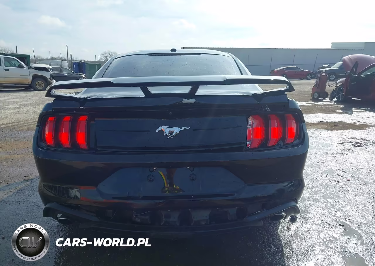 2019 Ford Mustang Ecoboost VIN:1FA6P8TH1K5102313 - 16
