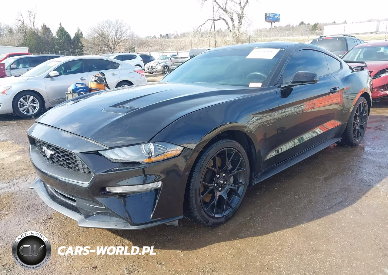 2019 Ford Mustang Ecoboost VIN:1FA6P8TH1K5102313 - 2