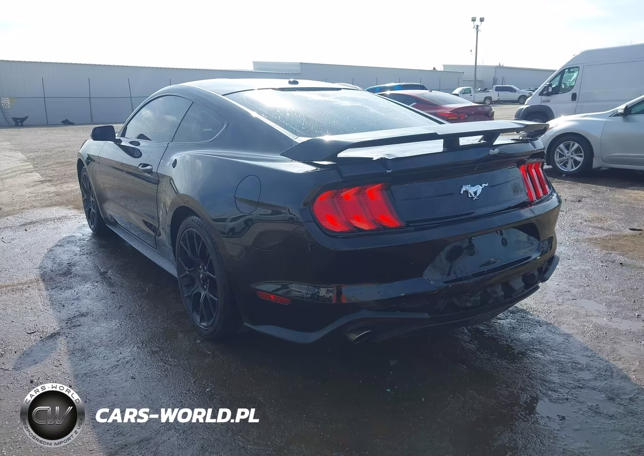 2019 Ford Mustang Ecoboost VIN:1FA6P8TH1K5102313 - 3