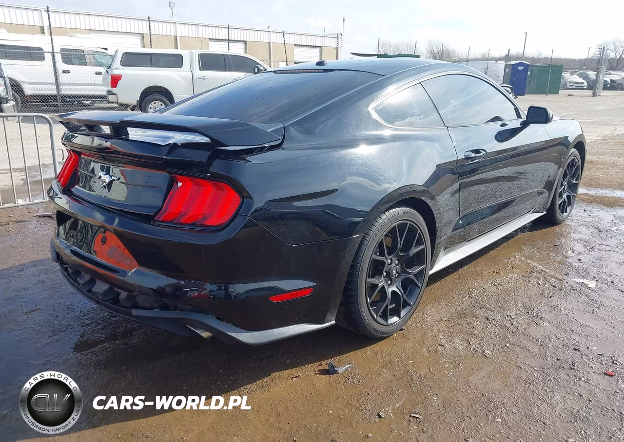 2019 Ford Mustang Ecoboost VIN:1FA6P8TH1K5102313 - 4