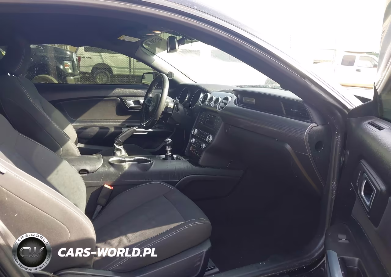 2019 Ford Mustang Ecoboost VIN:1FA6P8TH1K5102313 - 5