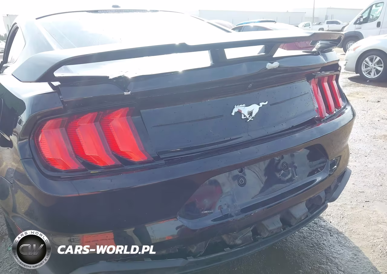 2019 Ford Mustang Ecoboost VIN:1FA6P8TH1K5102313 - 6