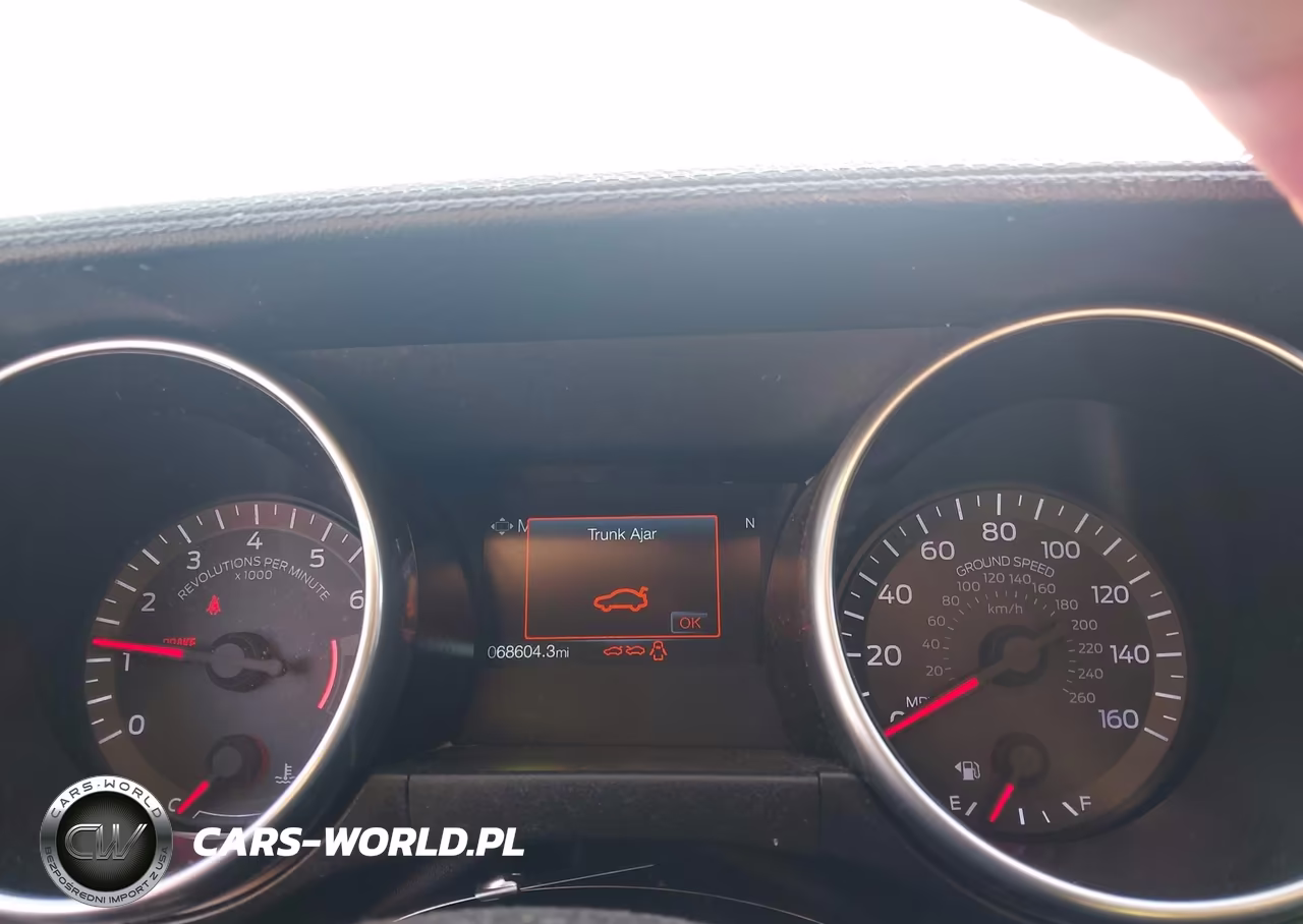 2019 Ford Mustang Ecoboost VIN:1FA6P8TH1K5102313 - 7