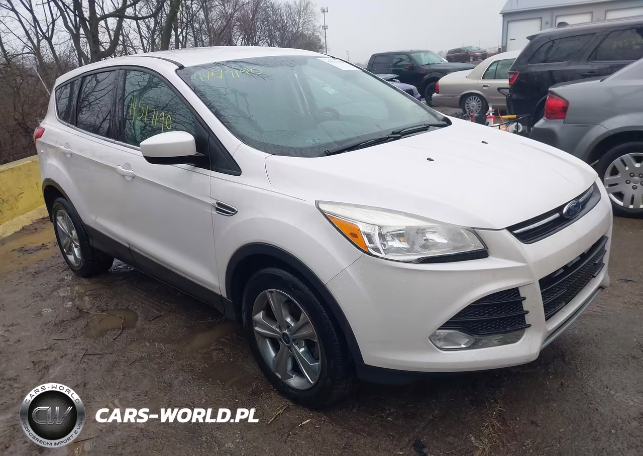 2013 Ford Escape Se