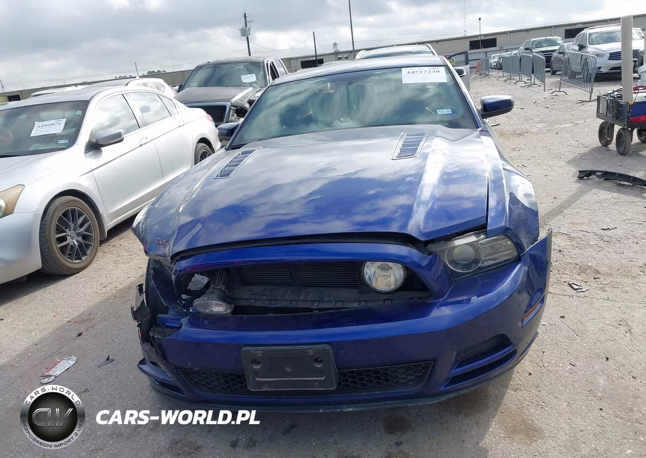 2014 Ford Mustang Gt Premium VIN:1ZVBP8CF2E5315876 - 13