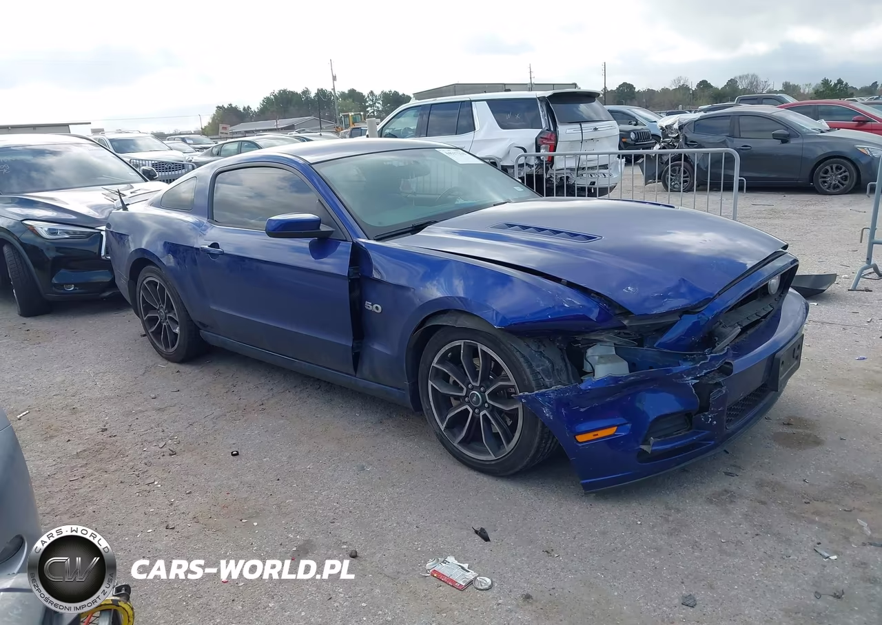 2014 Ford Mustang Gt Premium VIN:1ZVBP8CF2E5315876 - 14