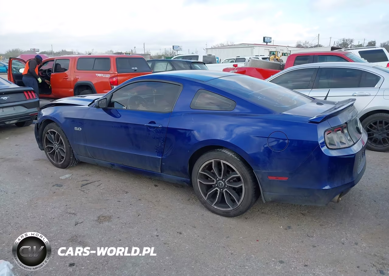 2014 Ford Mustang Gt Premium VIN:1ZVBP8CF2E5315876 - 15