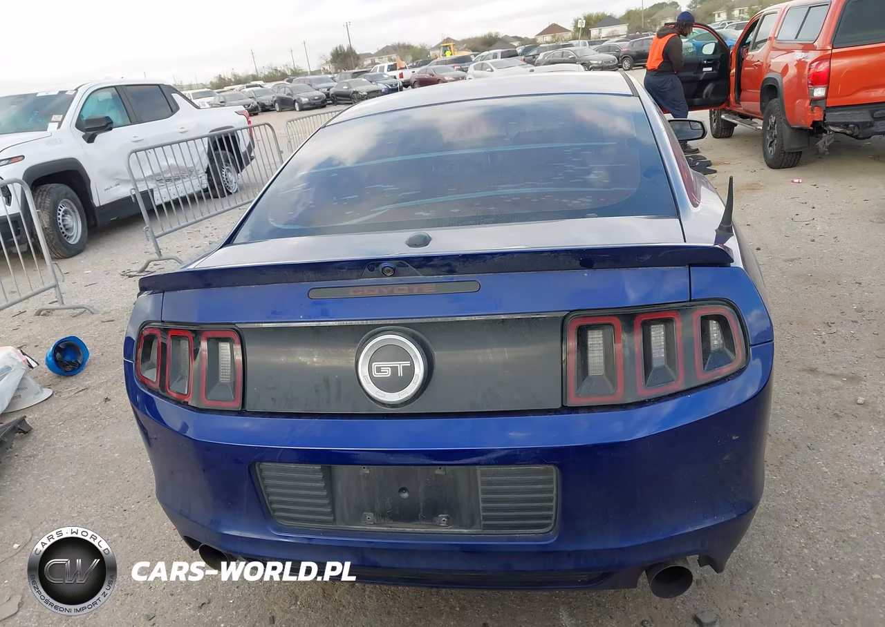 2014 Ford Mustang Gt Premium VIN:1ZVBP8CF2E5315876 - 17