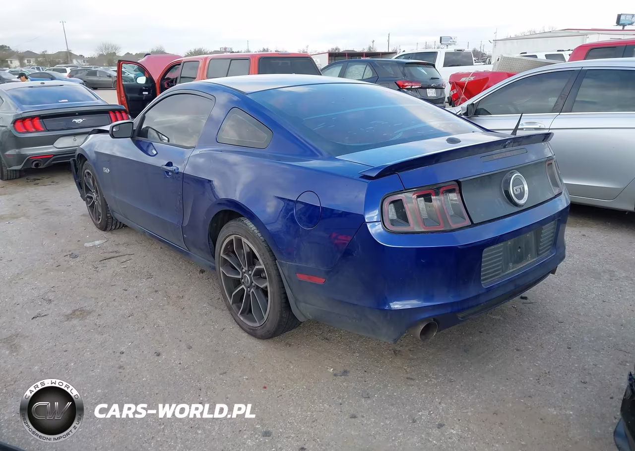 2014 Ford Mustang Gt Premium VIN:1ZVBP8CF2E5315876 - 3