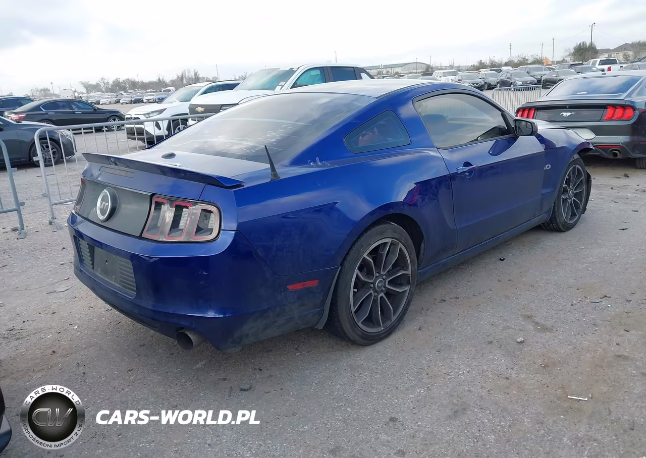 2014 Ford Mustang Gt Premium VIN:1ZVBP8CF2E5315876 - 4