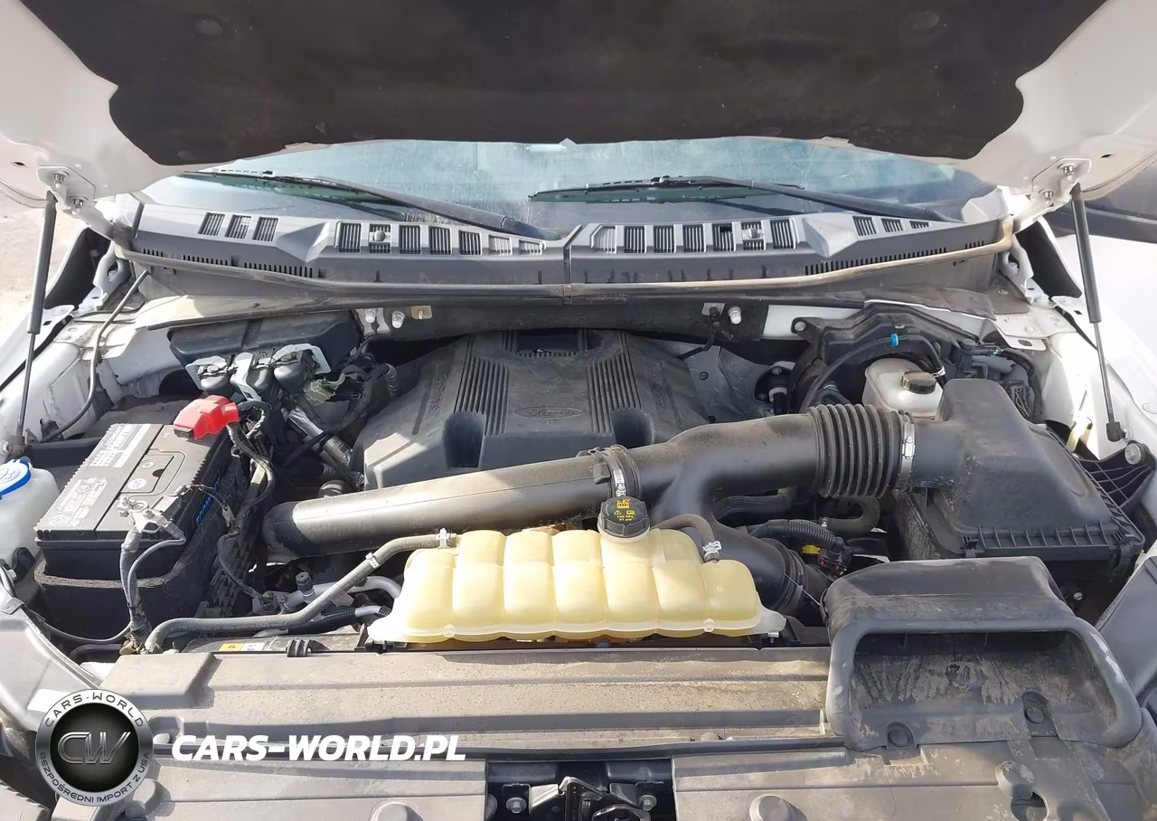 2020 Ford F-150 Xl VIN:1FTFX1E46LKD79148 - 10