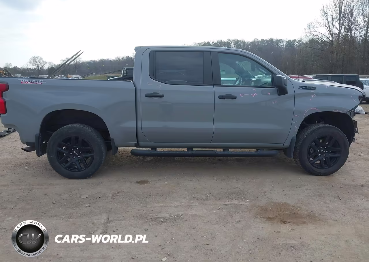 2024 Chevrolet Silverado 1500 4Wd Short Bed Custom Trail Boss VIN:3GCPDCEK8RG141552 - 13