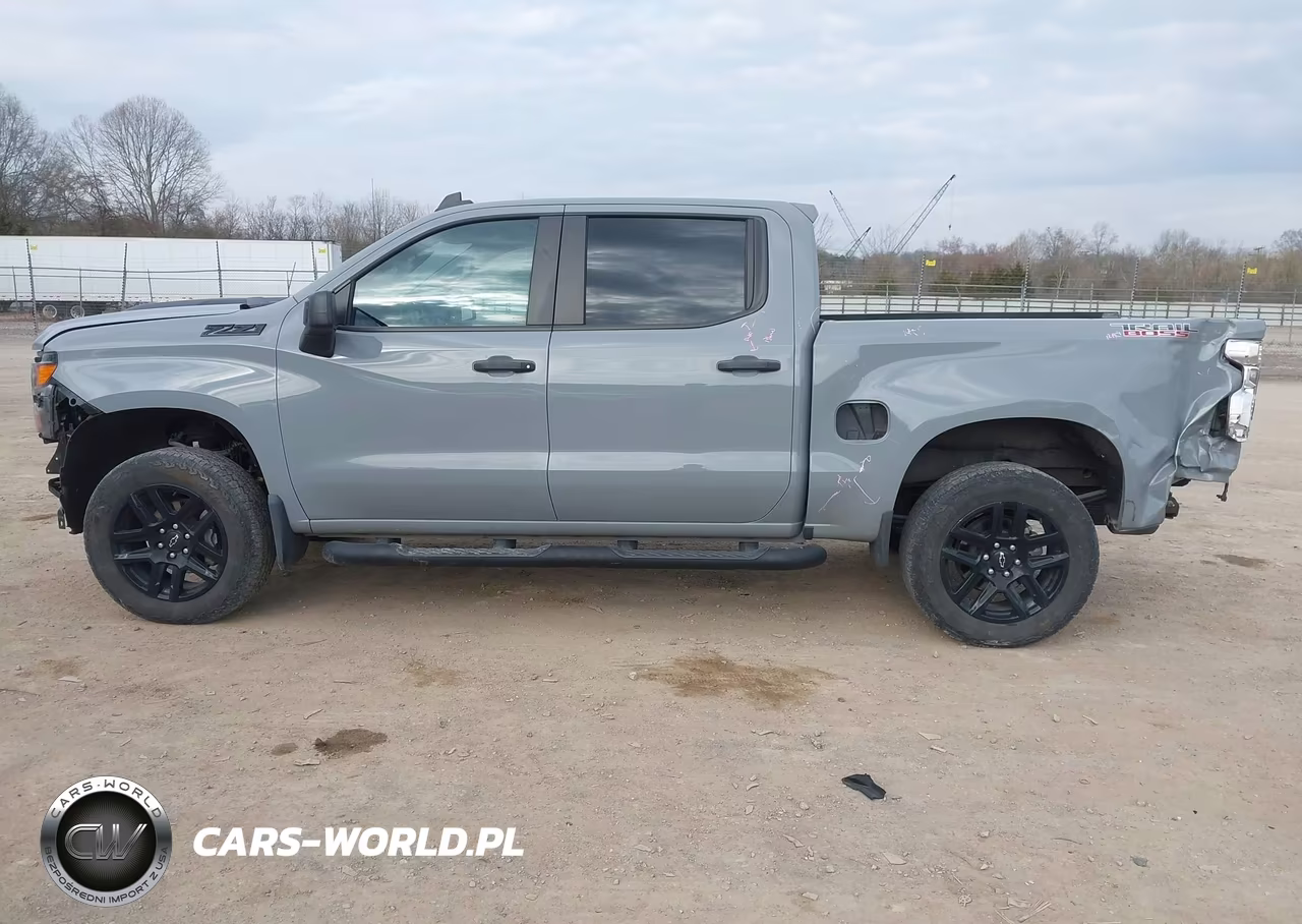 2024 Chevrolet Silverado 1500 4Wd Short Bed Custom Trail Boss VIN:3GCPDCEK8RG141552 - 14
