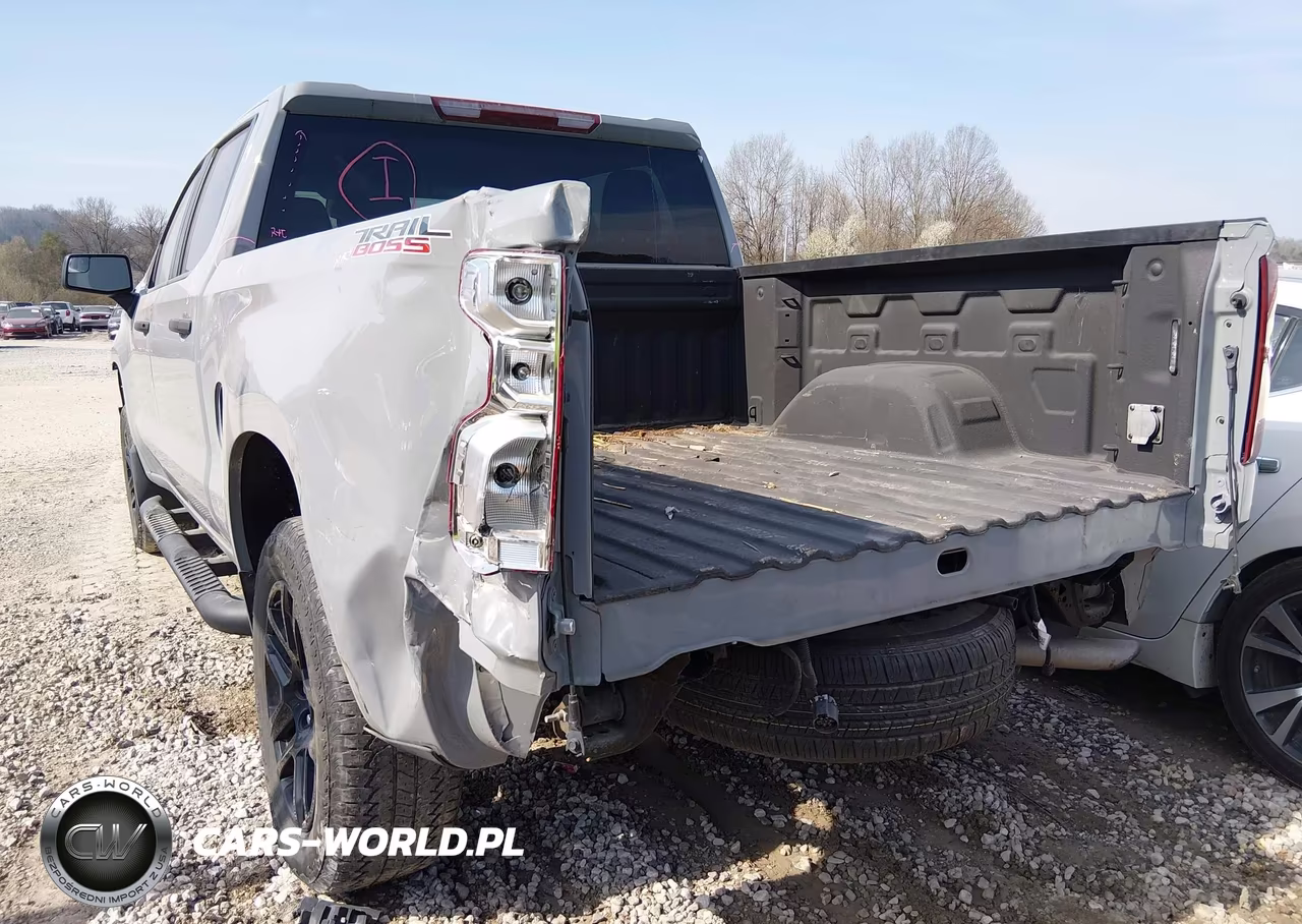2024 Chevrolet Silverado 1500 4Wd Short Bed Custom Trail Boss VIN:3GCPDCEK8RG141552 - 17