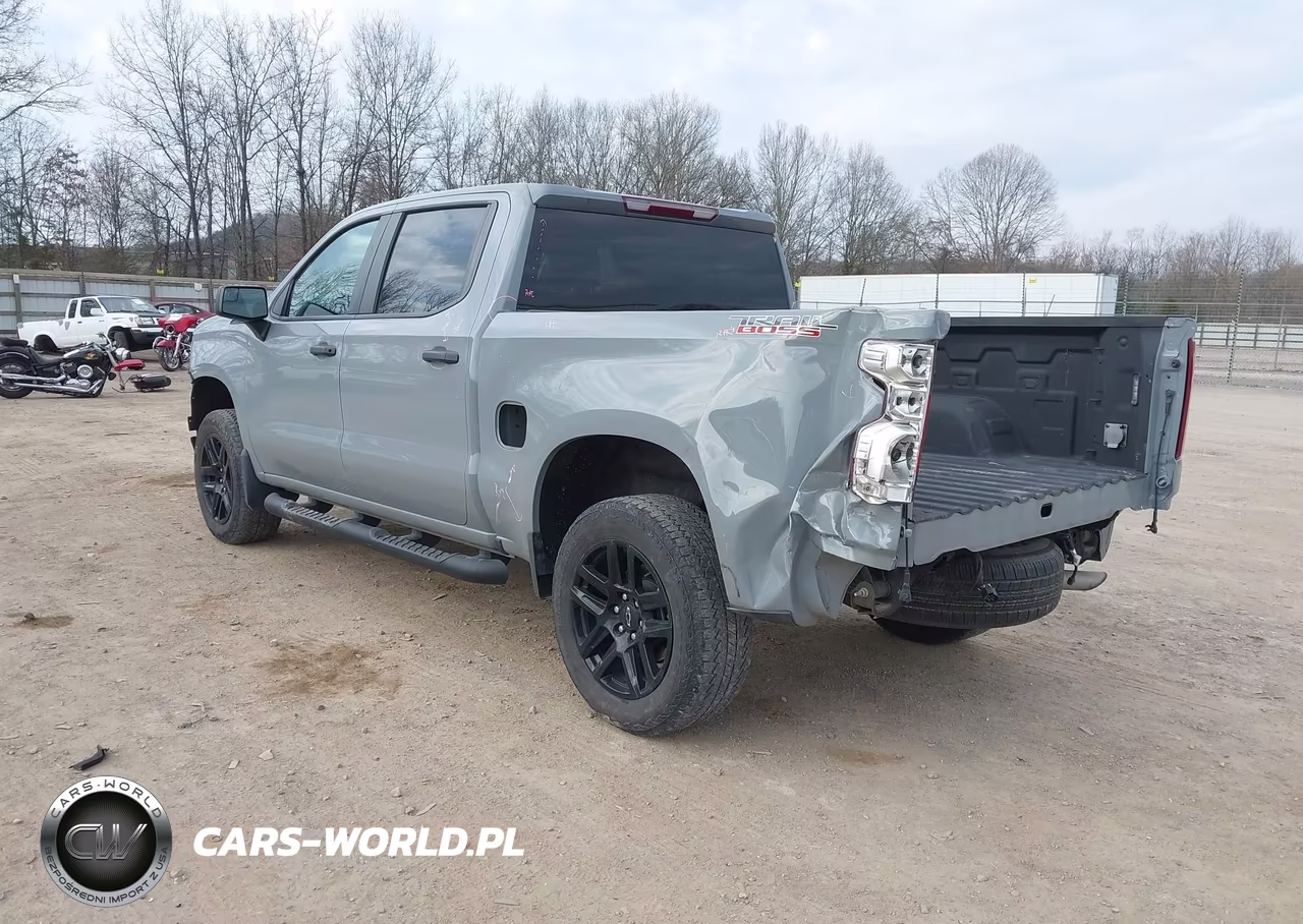 2024 Chevrolet Silverado 1500 4Wd Short Bed Custom Trail Boss VIN:3GCPDCEK8RG141552 - 3