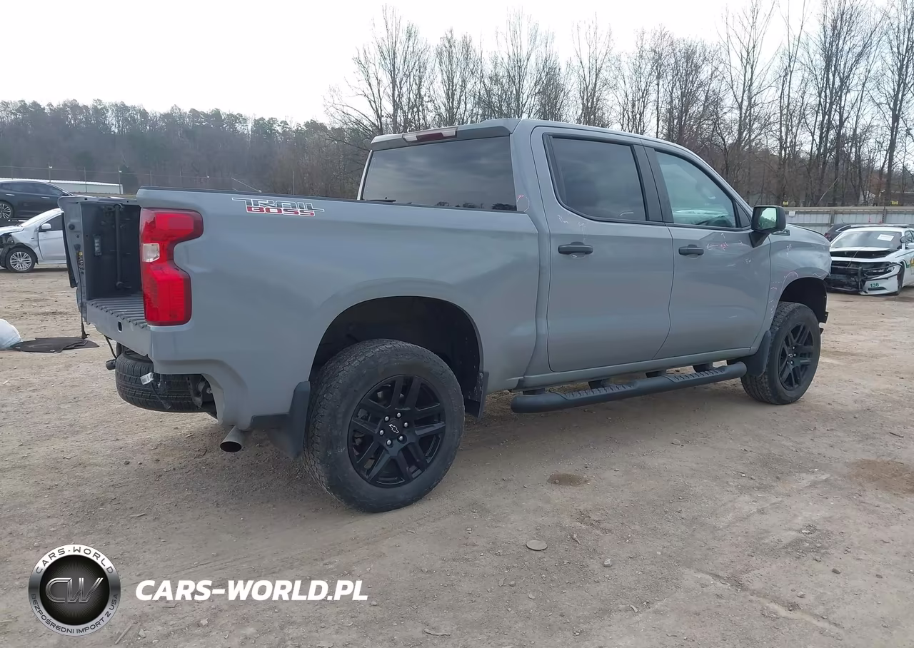 2024 Chevrolet Silverado 1500 4Wd Short Bed Custom Trail Boss VIN:3GCPDCEK8RG141552 - 4