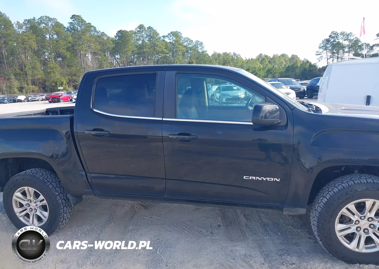 2019 GMC Canyon Sle VIN:1GTG6CEN4K1317201 - 13