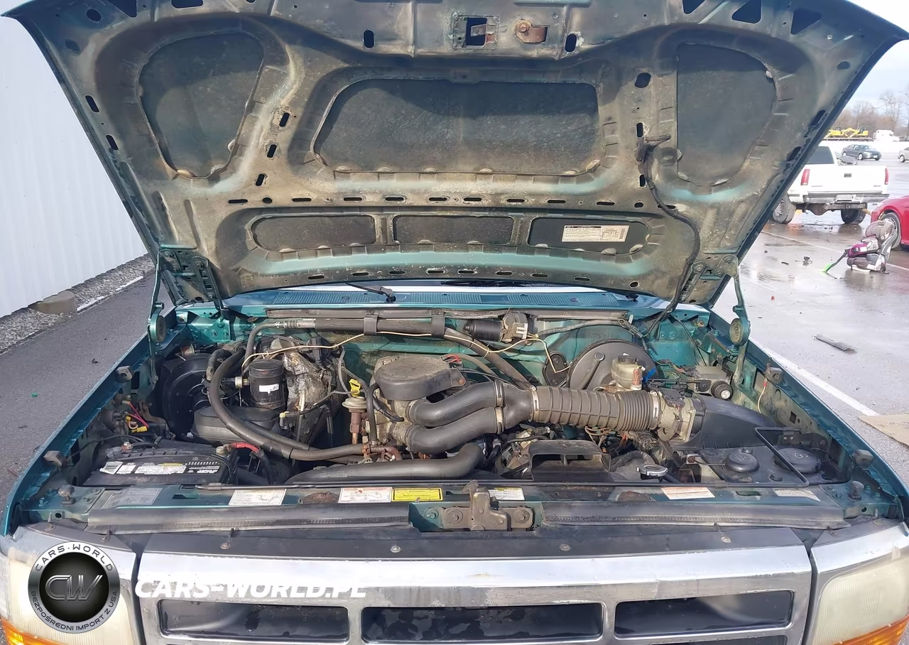 1996 Ford F150 VIN:1FTEF15N9TLA98821 - 10