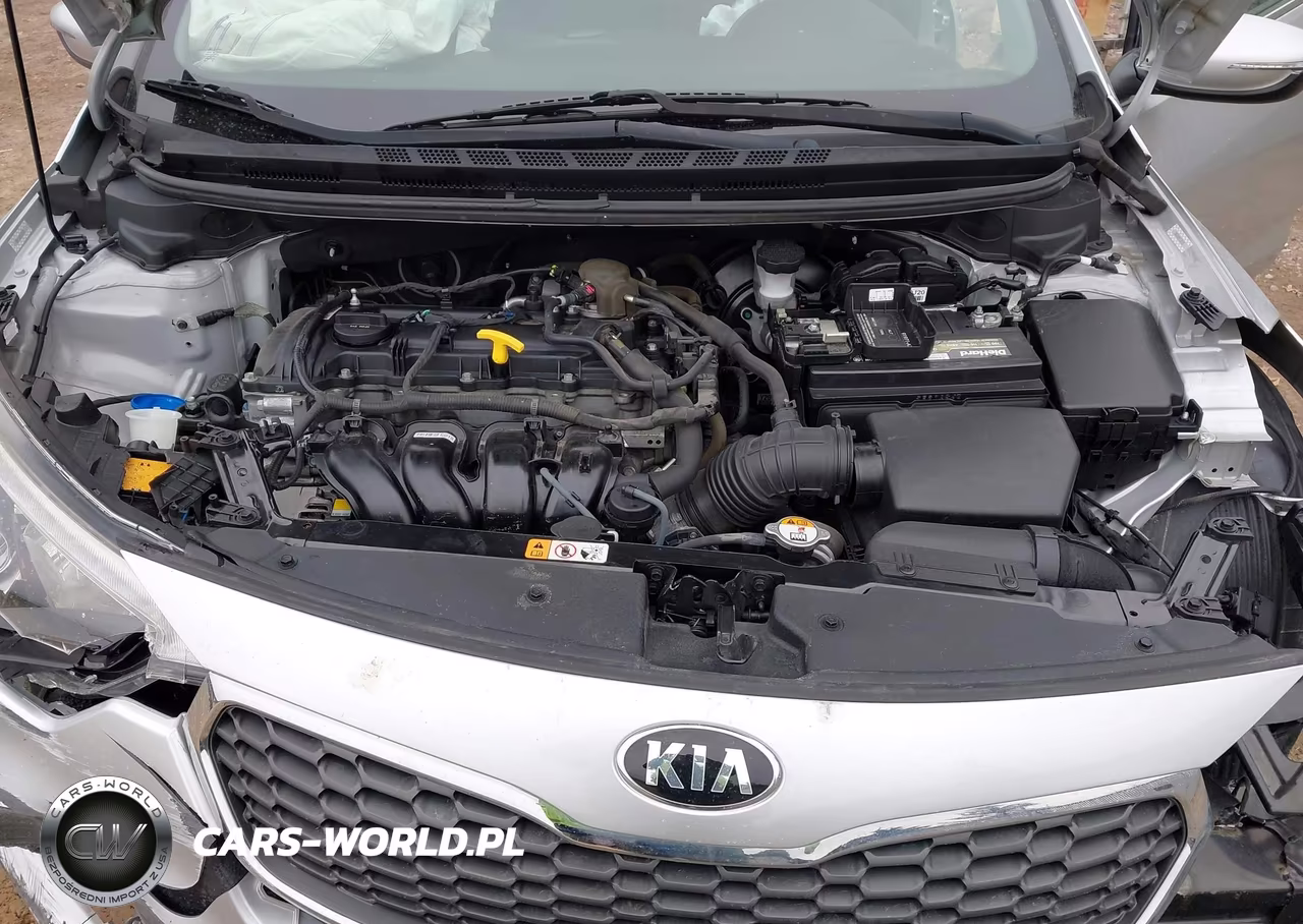 2015 Kia Forte Ex VIN:KNAFX4A85F5305391 - 10
