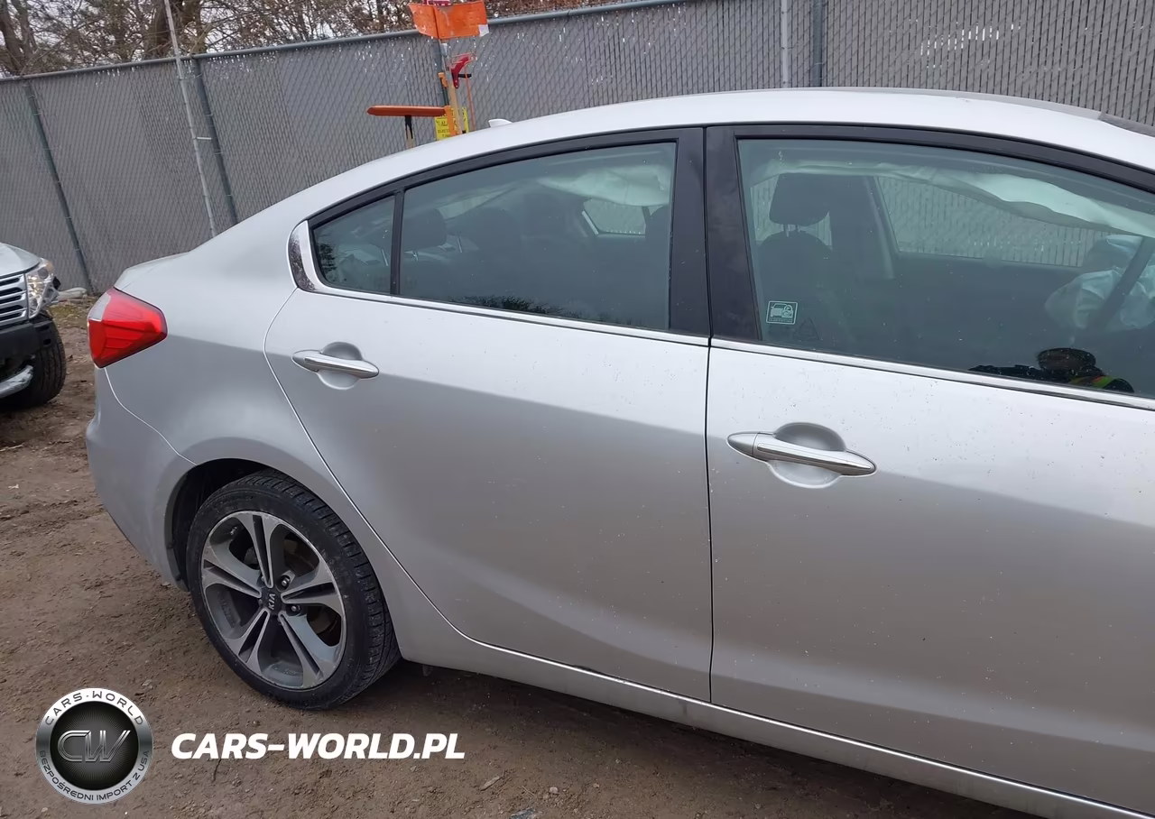 2015 Kia Forte Ex VIN:KNAFX4A85F5305391 - 13