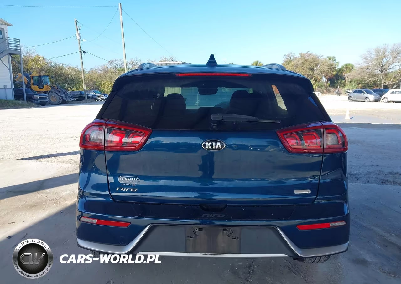 2018 Kia Niro Lx VIN:KNDCB3LCXJ5210043 - 16
