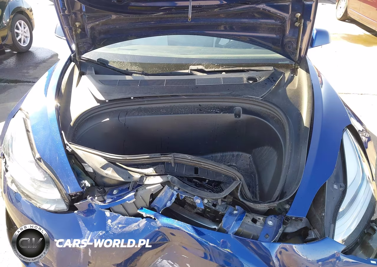 2019 Tesla Model 3 Long Range-Mid Range-Standard Range-Standard Range Plus VIN:5YJ3E1EA5KF486072 - 10