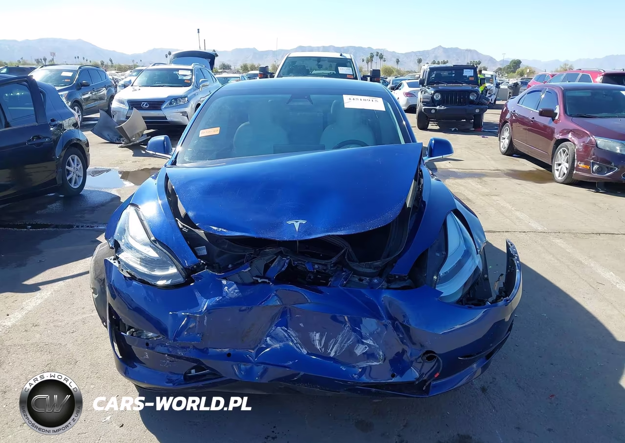2019 Tesla Model 3 Long Range-Mid Range-Standard Range-Standard Range Plus VIN:5YJ3E1EA5KF486072 - 11