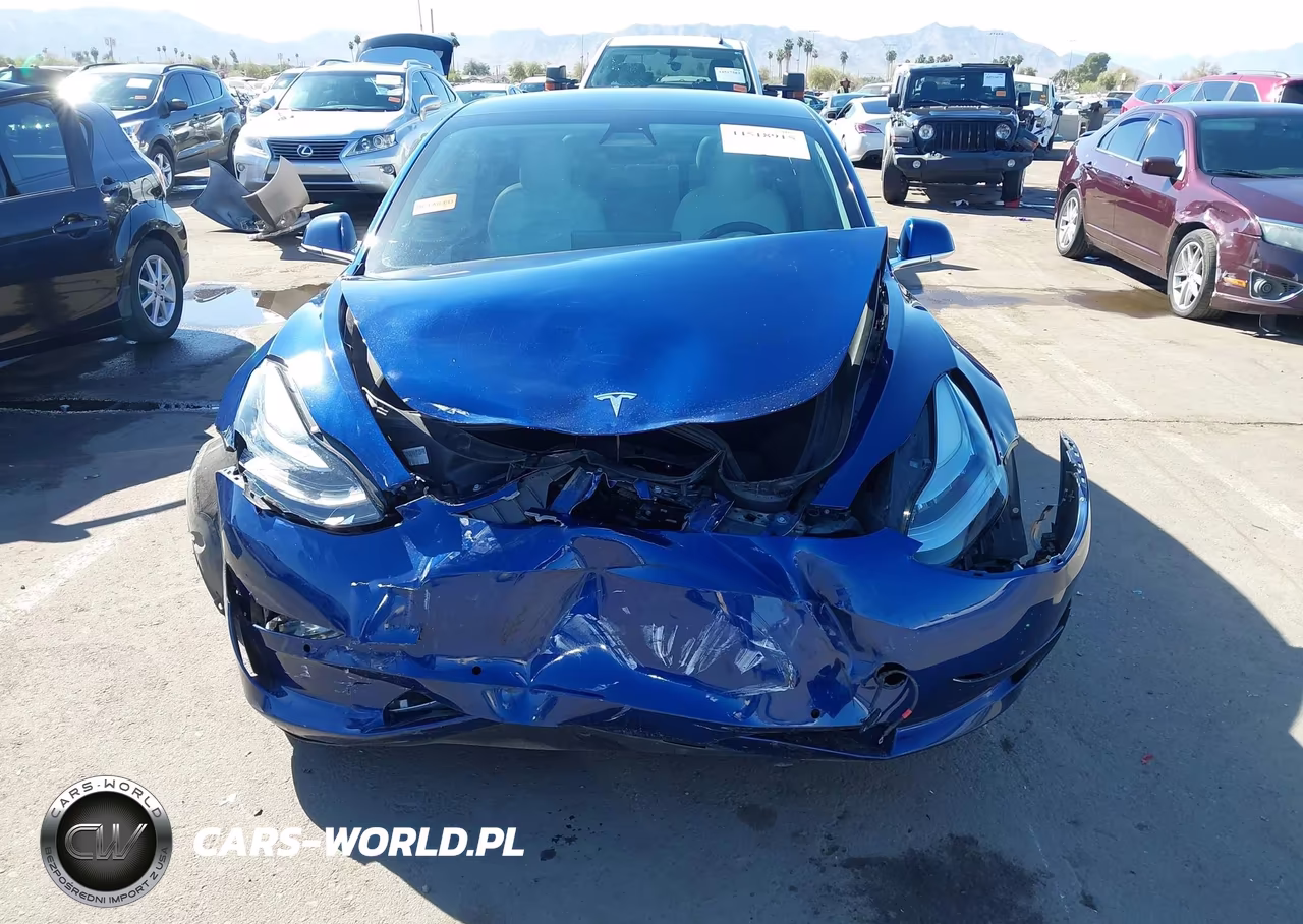 2019 Tesla Model 3 Long Range-Mid Range-Standard Range-Standard Range Plus VIN:5YJ3E1EA5KF486072 - 6