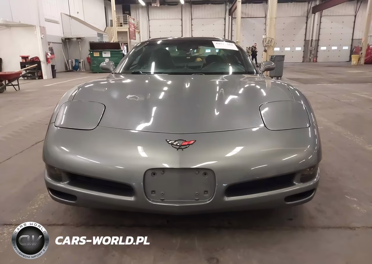 2004 Chevrolet Corvette VIN:1G1YY22G645129475 - 12