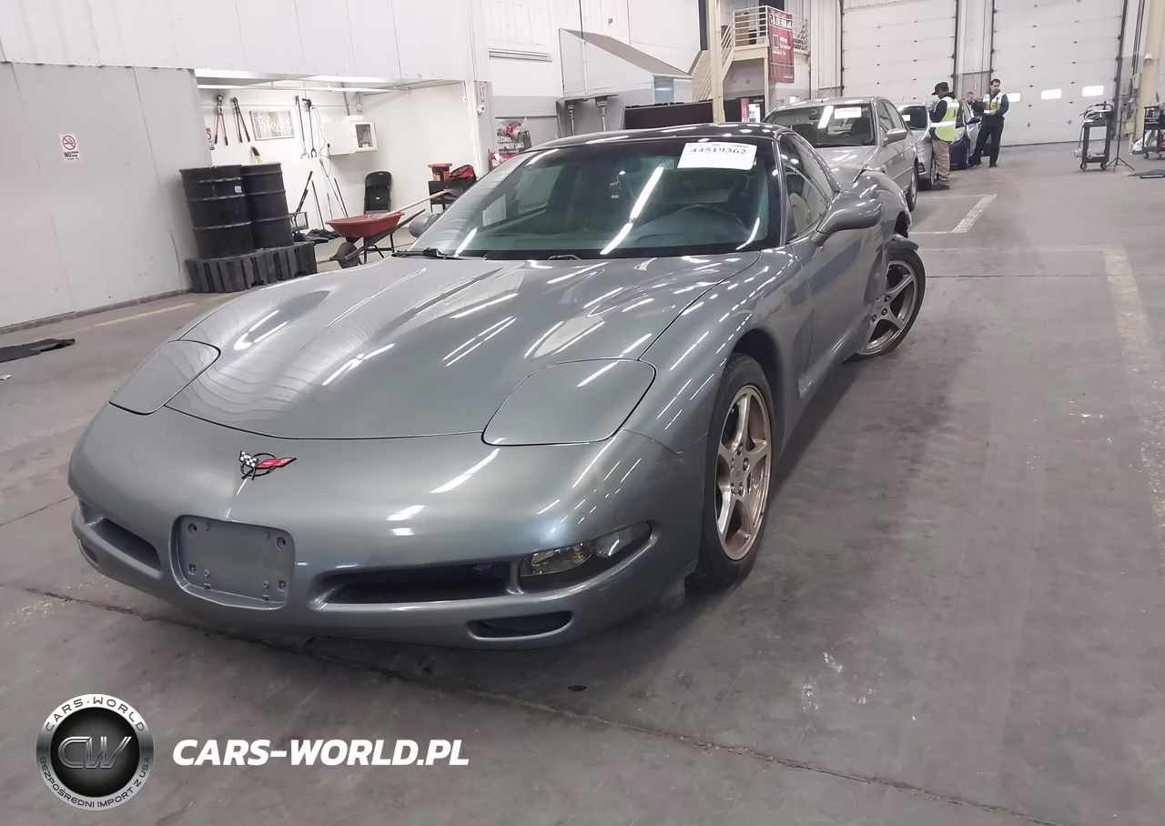 2004 Chevrolet Corvette VIN:1G1YY22G645129475 - 2