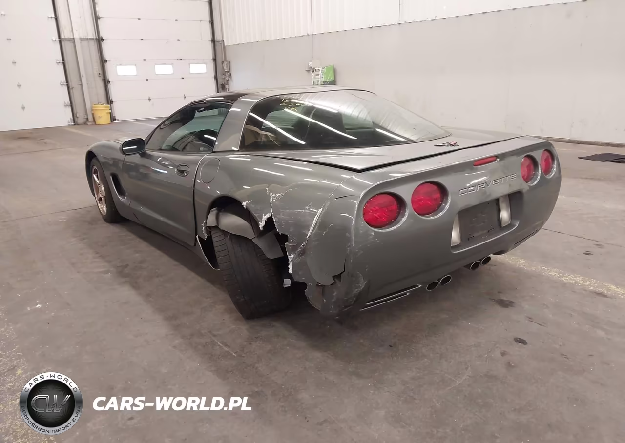 2004 Chevrolet Corvette VIN:1G1YY22G645129475 - 3