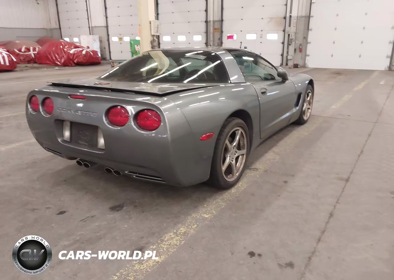 2004 Chevrolet Corvette VIN:1G1YY22G645129475 - 4