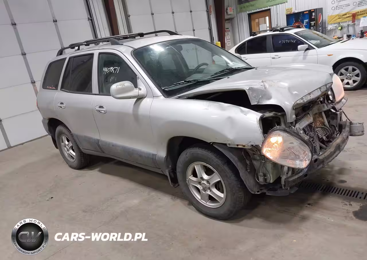 2004 Hyundai Santa Fe Gls-Lx