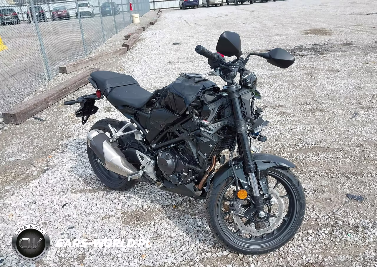 2025 Honda Cbf300 Na