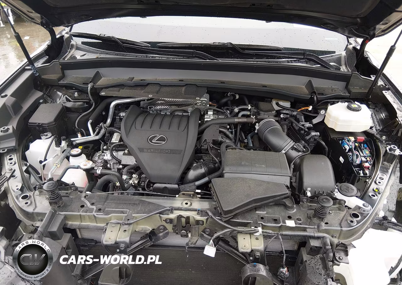 2024 Lexus Tx 500H F Sport Luxury VIN:5TDABAB61RS004266 - 10